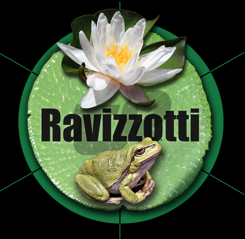 Ravizzotti | Aprile 2020