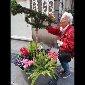 Festival di Sanremo | Addobbi floreali in Corso Matteotti